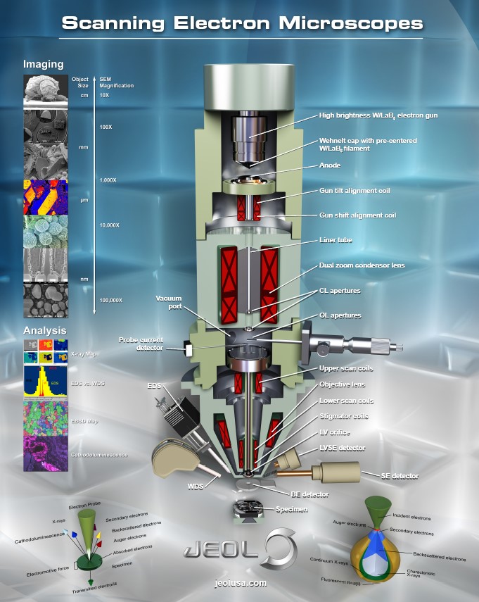 Posters | Calendars | EPMA | SEM | TEM | JEOL USA