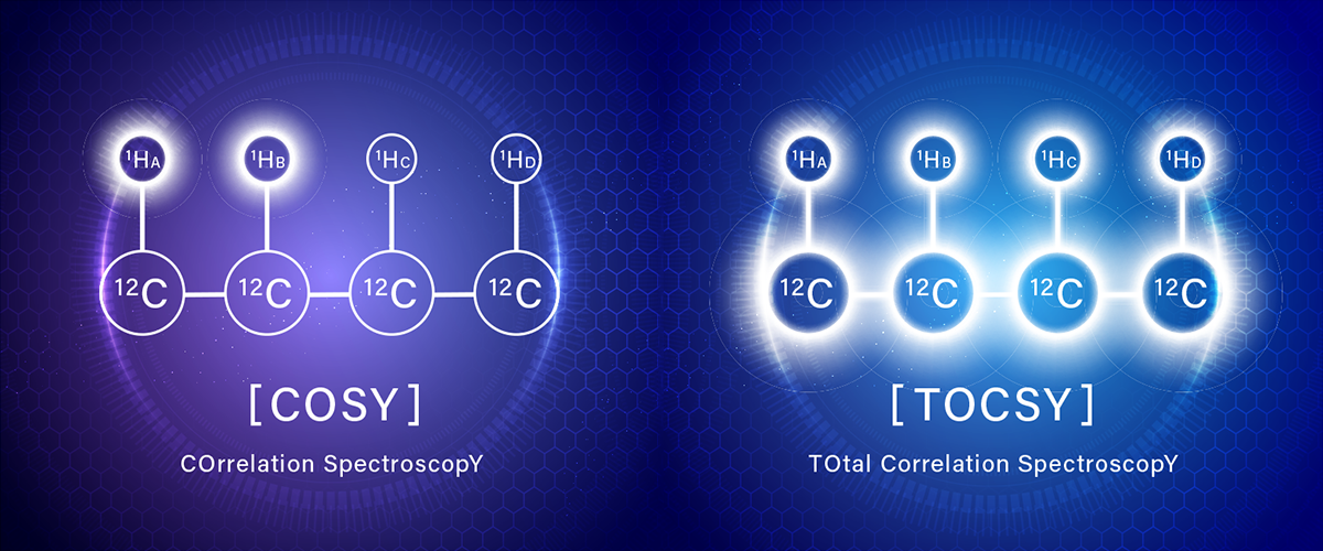 COSY/TOCSY Analysis│Interpreting spin correlations using 2D NMR