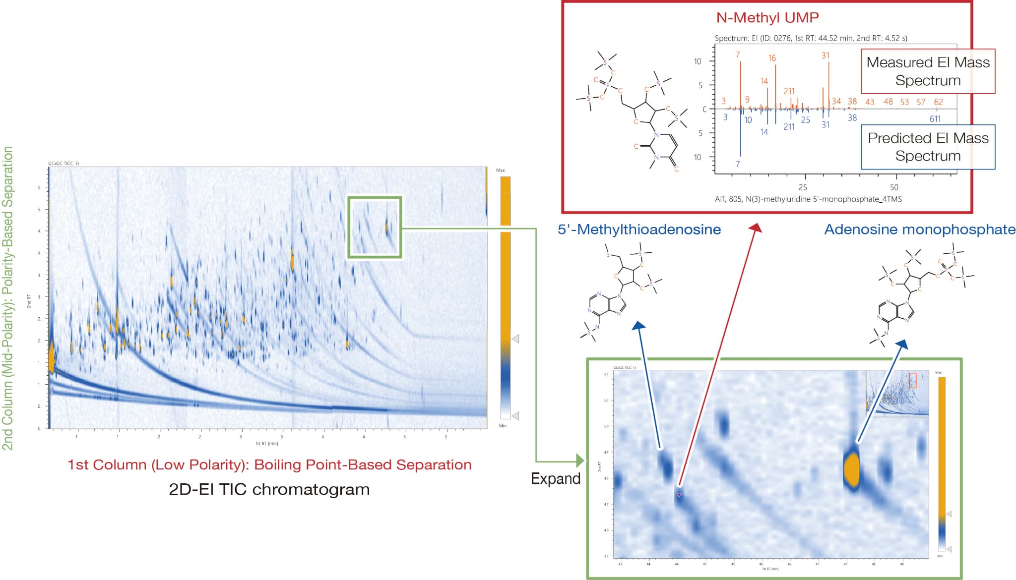 Analysis of Unknown Compounds in HeLa Cells