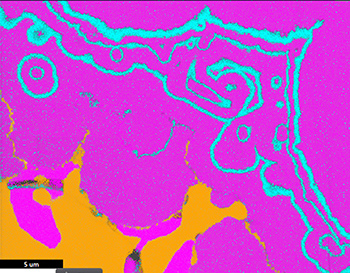 Image Alt Text