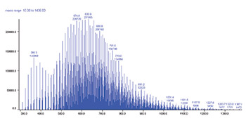 Image Alt Text