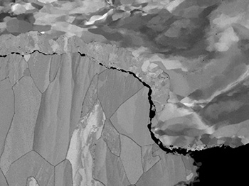 Image Alt Text