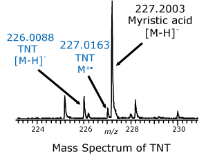 Mass Spectrum of TNT